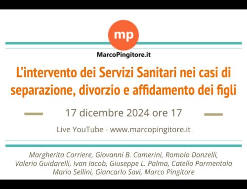 Webinar 17 dicembre 2024 ore 17.00: SSN e Tribunali